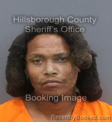 Mugshot of LORENZO POLLOCK booked in Hillsborough County, Florida on June 19, 2026