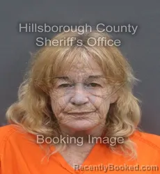 Mugshot of TINA JANE NOEL booked in Hillsborough County, Florida on June 19, 2026