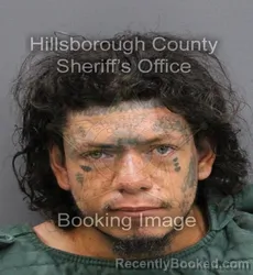 Mugshot of GABRIEL GARCIA booked in Hillsborough County, Florida on June 19, 2026