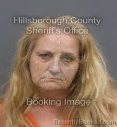 Mugshot of MICHELLE STRICKLAND GOSS booked in Hillsborough County, Florida on June 19, 2026