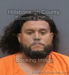 Mugshot of MICHAEL SEANTELLE BERMUDEZ booked in Hillsborough County, Florida on June 20, 2026