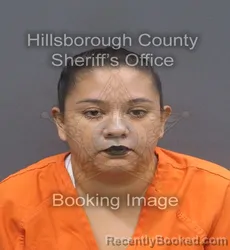 Mugshot of ROSEANNA EDIE MEZA booked in Hillsborough County, Florida on June 20, 2026