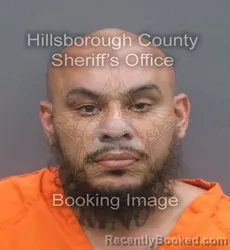 Mugshot of MANUEL ELADIO ACOSTA booked in Hillsborough County, Florida on June 20, 2026