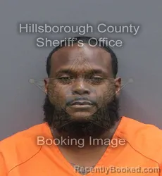 Mugshot of YANNICK TONIMACROMI CUSSEAUX booked in Hillsborough County, Florida on June 20, 2026
