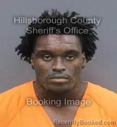 Mugshot of OTONYE HAROLD EKINE-HARRY booked in Hillsborough County, Florida on June 20, 2026