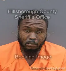Mugshot of IAN JACOBY MERRELL booked in Hillsborough County, Florida on June 20, 2026