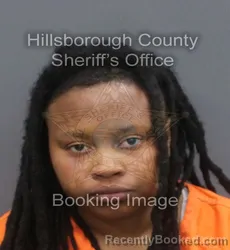 Mugshot of MONEE JANELL ALLISTER booked in Hillsborough County, Florida on June 20, 2026