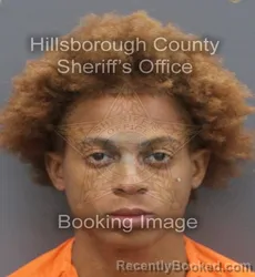 Mugshot of STEVEN ROBERT PARKER booked in Hillsborough County, Florida on June 20, 2026