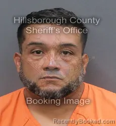 Mugshot of LUIS ALBERTO PEREZ DIAZ booked in Hillsborough County, Florida on June 20, 2026