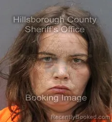Mugshot of CAITLYN EMILY LIVINGSTON