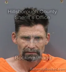 Mugshot of EMANUEL JAMES ANDERSON booked in Hillsborough County, Florida on June 20, 2026