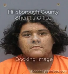 Mugshot of ANDRES GONZALEZ III booked in Hillsborough County, Florida on June 20, 2026