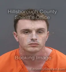 Mugshot of CORBIN COLSON BARNETT booked in Hillsborough County, Florida on June 20, 2026