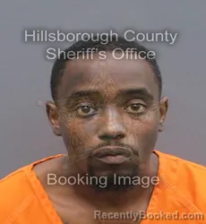 Mugshot of ANTHONY DEWAYNE SMITH booked in Hillsborough County, Florida on June 20, 2026
