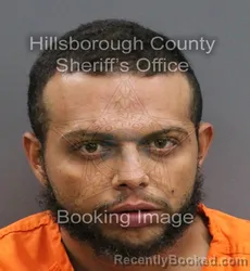 Mugshot of LUIS ANGEL MIRANDA CANALES booked in Hillsborough County, Florida on June 20, 2026