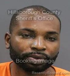 Mugshot of SAMUEL IBIFUBARA MEHEUX booked in Hillsborough County, Florida on June 20, 2026