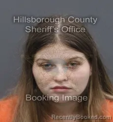 Mugshot of MADISON DOBBS booked in Hillsborough County, Florida on June 20, 2026