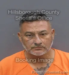 Mugshot of LUIS ALFREDO AREVALO booked in Hillsborough County, Florida on June 20, 2026