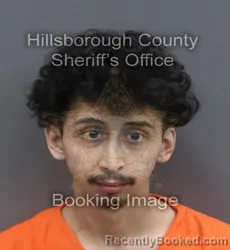 Mugshot of MICHAEL JACOB RUELAS booked in Hillsborough County, Florida on June 20, 2026