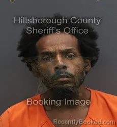Mugshot of LAWRENCE ANTHONY JR PINO booked in Hillsborough County, Florida on June 20, 2026
