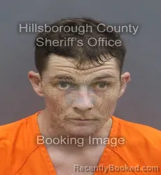 Mugshot of JACOB ALBERT ANDERSON booked in Hillsborough County, Florida on June 20, 2026