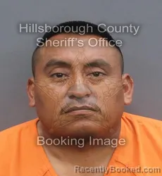 Mugshot of MISAEL RODRIGUEZ LOPEZ booked in Hillsborough County, Florida on June 20, 2026