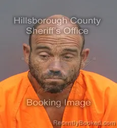 Mugshot of FERNANDO PANTOJA booked in Hillsborough County, Florida on June 20, 2026