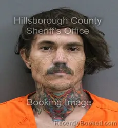 Mugshot of BRENDAN AUSTIN PETROVICH booked in Hillsborough County, Florida on June 23, 2026