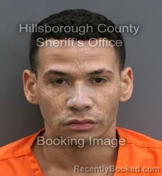 Mugshot of ALVARO ERNESTO ROJAS GARCIA booked in Hillsborough County, Florida on June 23, 2026
