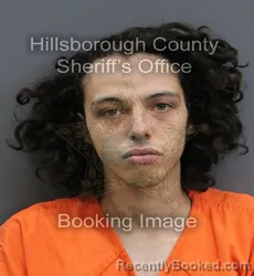 Mugshot of GABRIEL ANGEL CRUZ booked in Hillsborough County, Florida on June 23, 2026