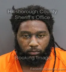 Mugshot of DAVID W MAROTIERE booked in Hillsborough County, Florida on June 23, 2026