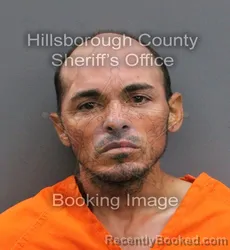 Mugshot of KELVIN YAMIL MATIAS LEBRON booked in Hillsborough County, Florida on June 23, 2026