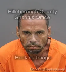 Mugshot of JUSTO EMMANUEL COLON booked in Hillsborough County, Florida on June 23, 2026