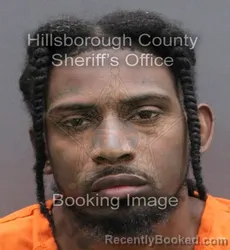 Mugshot of DONNELL ARTHUR JR LIVINGSTON