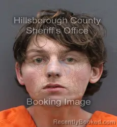 Mugshot of JACKSON ANDREW MILLS