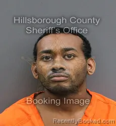 Mugshot of MICHAEL MITCHEL JR PATTERSON booked in Hillsborough County, Florida on June 25, 2026