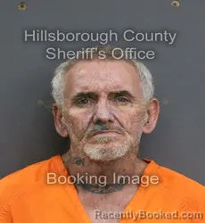 Mugshot of ALVIS FITZGERALD TOLLIVER booked in Hillsborough County, Florida on June 25, 2026