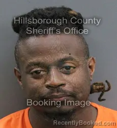 Mugshot of DAMARC BYRON OWENS booked in Hillsborough County, Florida on June 25, 2026