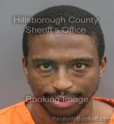 Mugshot of MICHAEL M MONTGOMERY booked in Hillsborough County, Florida on June 25, 2026