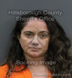 Mugshot of DANIELLA GIANNETTI booked in Hillsborough County, Florida on June 25, 2026