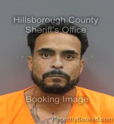 Mugshot of CARLOS R MARTE DIAZ booked in Hillsborough County, Florida on June 25, 2026