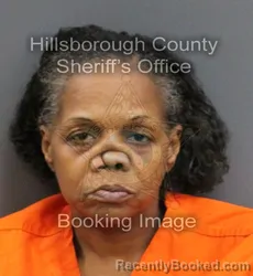 Mugshot of DAMIQUE RAMONA MONFIELD booked in Hillsborough County, Florida on June 25, 2026