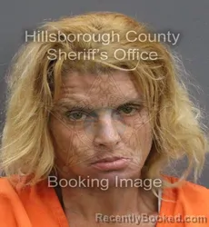 Mugshot of COURTONEY SHAWNTAE WILLIAMS booked in Hillsborough County, Florida on June 25, 2026