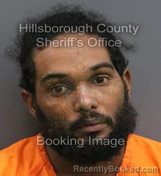 Mugshot of PEDRO SATURNINO SANTOS GARCIA booked in Hillsborough County, Florida on June 25, 2026