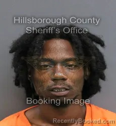 Mugshot of DIJON MARQUAE NYEE ROGERS booked in Hillsborough County, Florida on June 25, 2026
