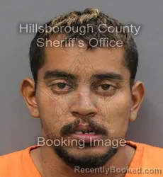 Mugshot of JOSE ALEJANDRO CERVERA VERDECIA