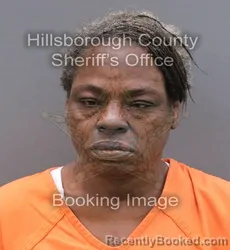 Mugshot of ERICA MICHELLE AYDELOTTE