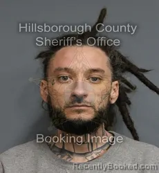 Mugshot of PATRICK WYLEY RALL