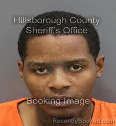 Mugshot of ODIS E HILL