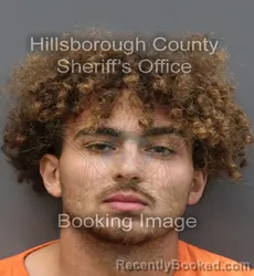 Mugshot of ELIAN K KARAPETROV